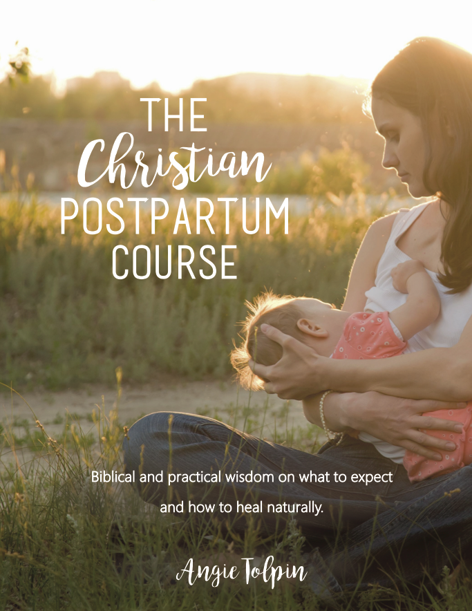 Christian Postpartum Course With Workbook